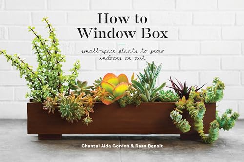 Algopix Similar Product 10 - How to Window Box SmallSpace Plants
