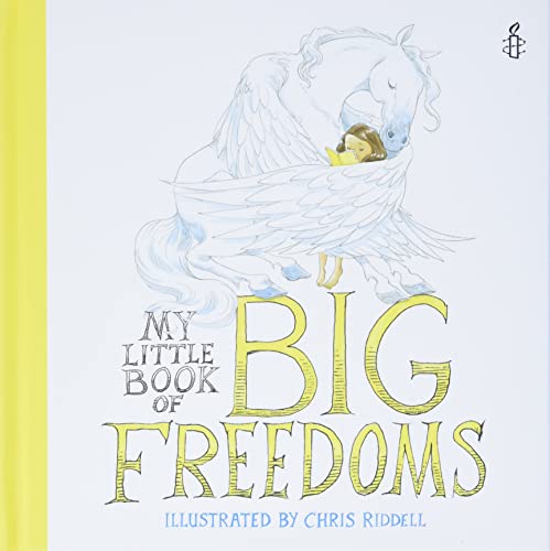Algopix Similar Product 20 - My Little Book of Big Freedoms