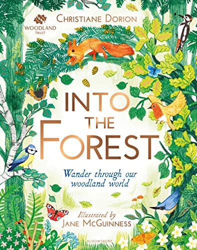 Algopix Similar Product 1 - The Woodland Trust: Into The Forest
