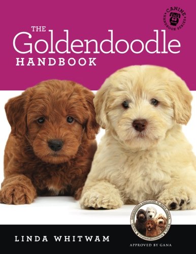 Algopix Similar Product 5 - The Goldendoodle Handbook The