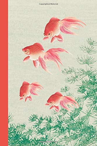 Algopix Similar Product 17 - Journal Fishpond Orange Koi Fish 6x9