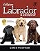 Algopix Similar Product 15 - The Complete Labrador Handbook The