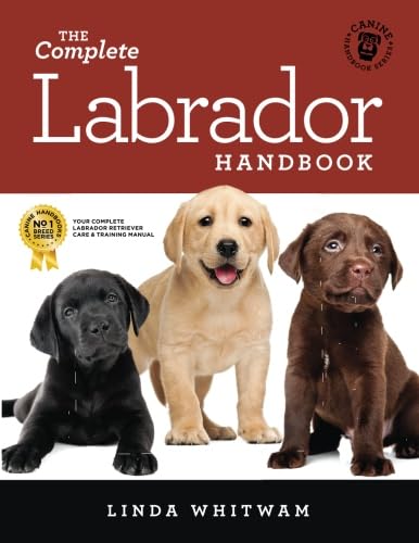 Algopix Similar Product 13 - The Complete Labrador Handbook The