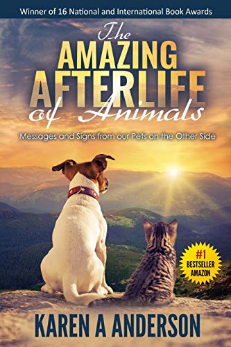 Algopix Similar Product 5 - The Amazing Afterlife of Animals