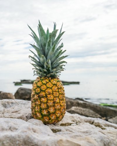 Algopix Similar Product 19 - Pineapple Dreamin Notebook 8x10 Wide
