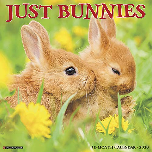 Algopix Similar Product 12 - Just Bunnies 2020 Wall Calendar