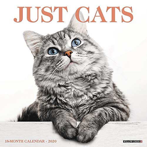 Algopix Similar Product 8 - Just Cats 2020 Wall Calendar