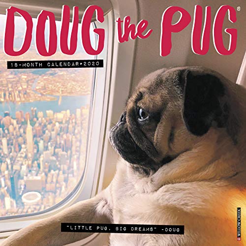 Algopix Similar Product 11 - Doug the Pug 2020 Wall Calendar Dog