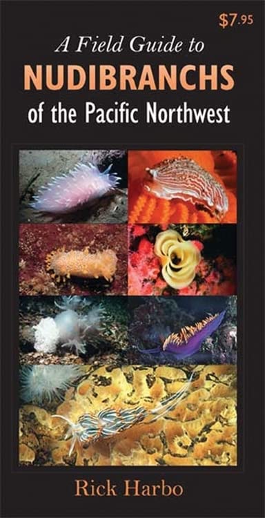 Algopix Similar Product 18 - A Field Guide to Nudibranchs of the