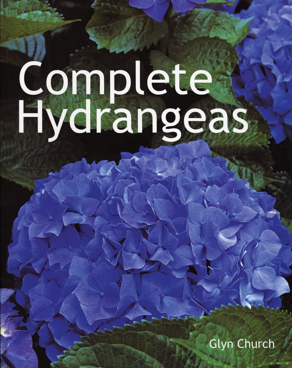 Algopix Similar Product 6 - Complete Hydrangeas