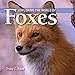 Algopix Similar Product 3 - Exploring the World of Foxes