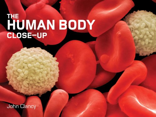Algopix Similar Product 14 - The Human Body CloseUp CloseUp