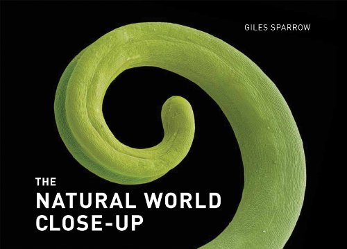 Algopix Similar Product 7 - The Natural World CloseUp CloseUp