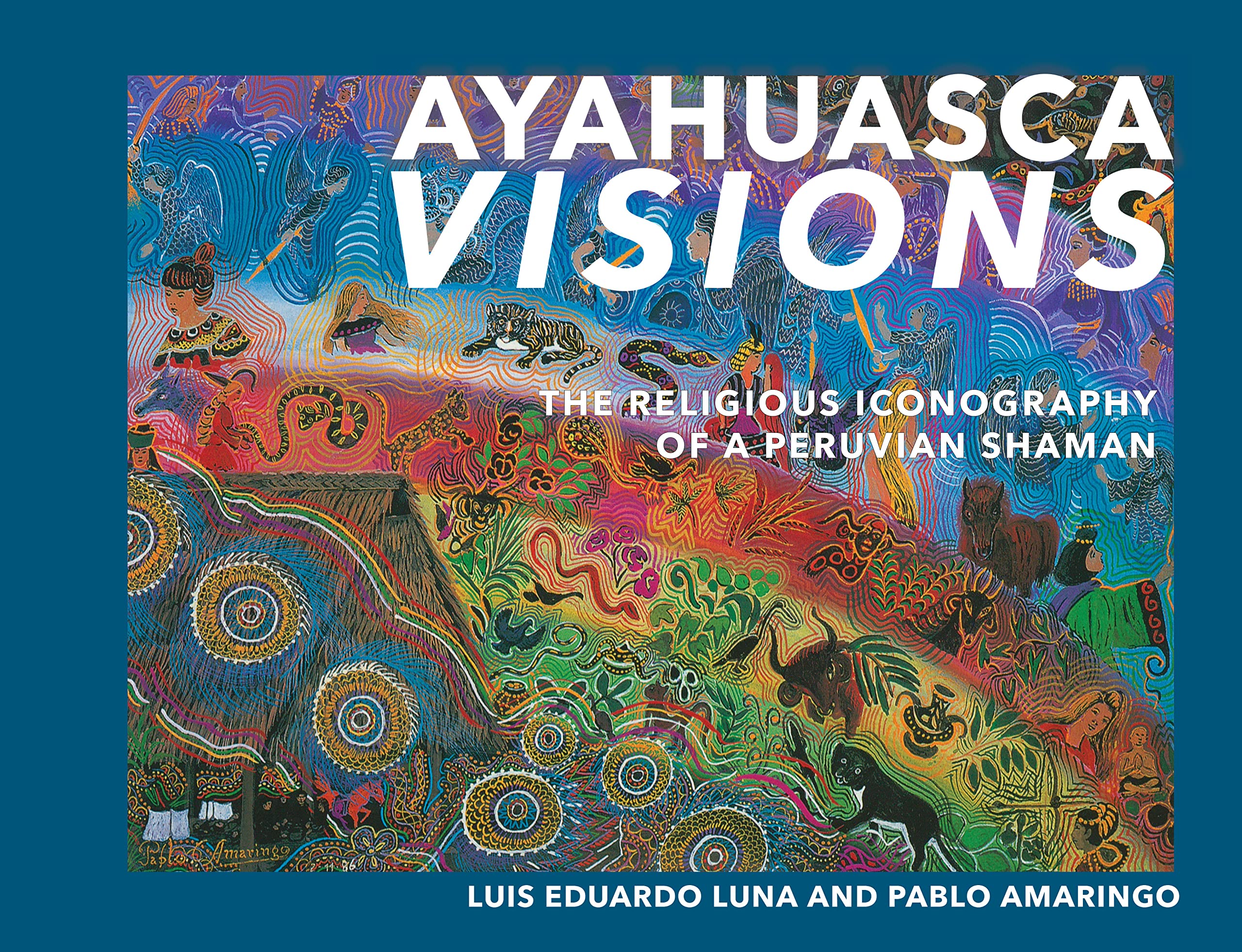 Algopix Similar Product 17 - Ayahuasca Visions The Religious