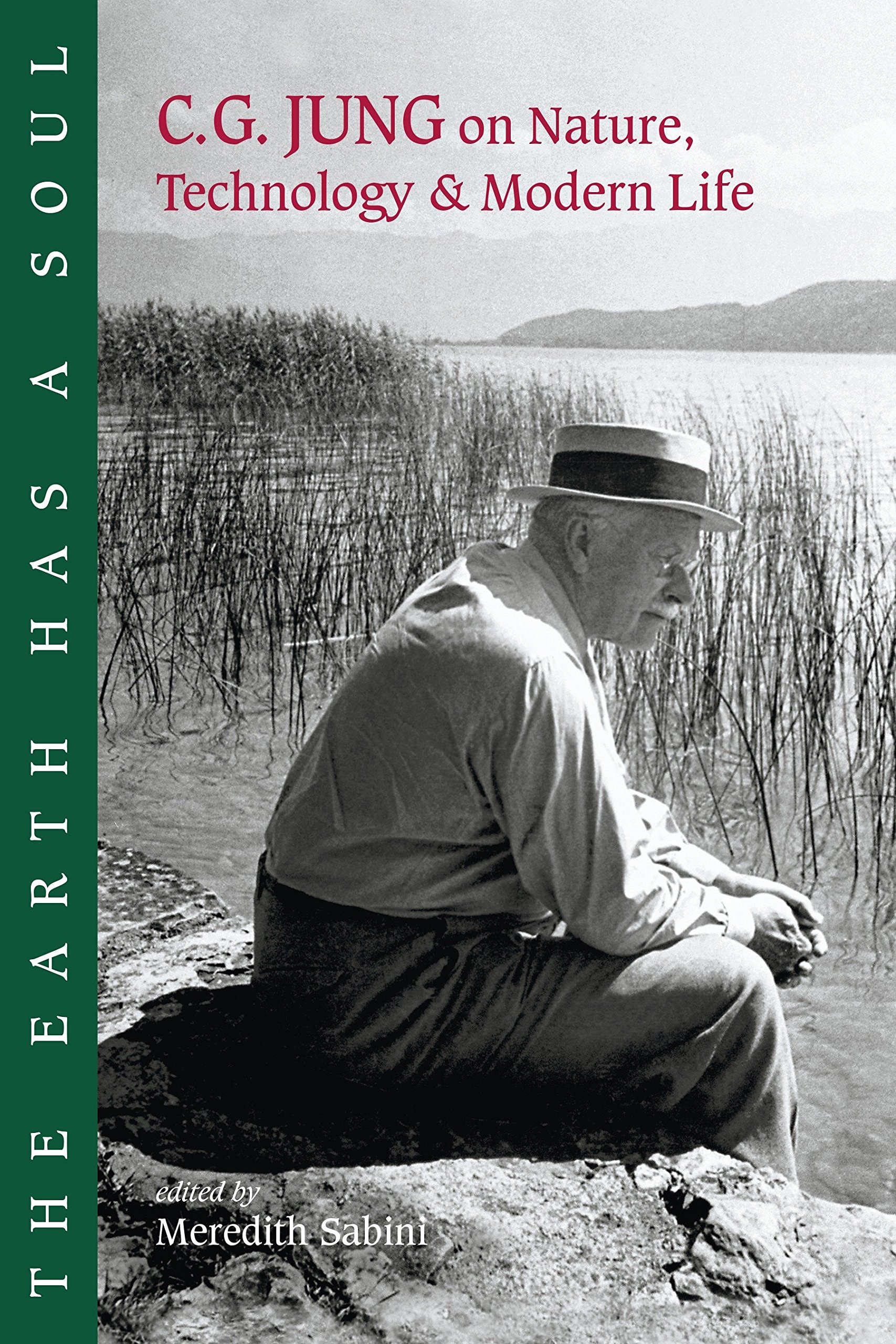 Algopix Similar Product 2 - The Earth Has a Soul CG Jung on