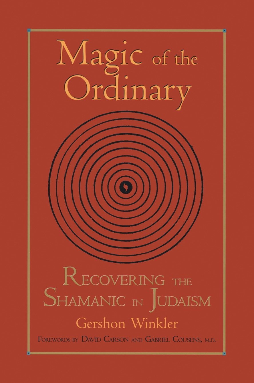 Algopix Similar Product 10 - Magic of the Ordinary Recovering the