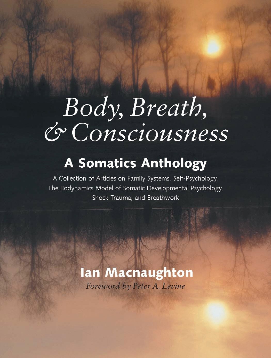 Algopix Similar Product 19 - Body Breath and Consciousness A