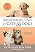 Algopix Similar Product 15 - Homeopathic Care for Cats and Dogs