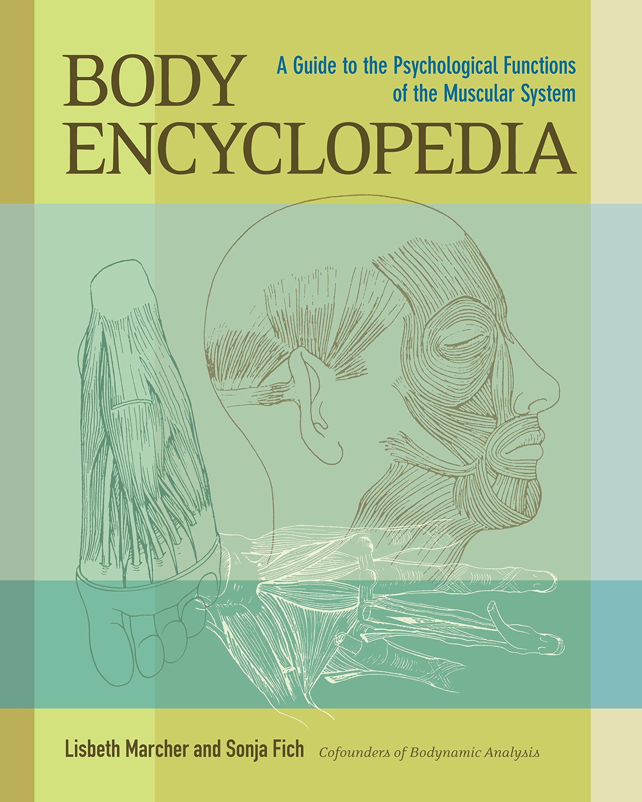 Algopix Similar Product 19 - Body Encyclopedia A Guide to the