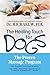 Algopix Similar Product 13 - Healing Touch for Dogs The Proven