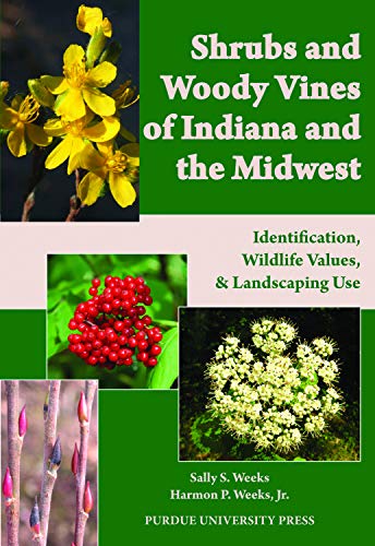 Algopix Similar Product 16 - Shrubs and Woody Vines of Indiana and