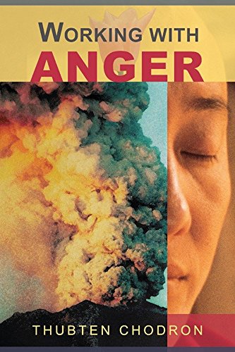 Algopix Similar Product 20 - Working with Anger