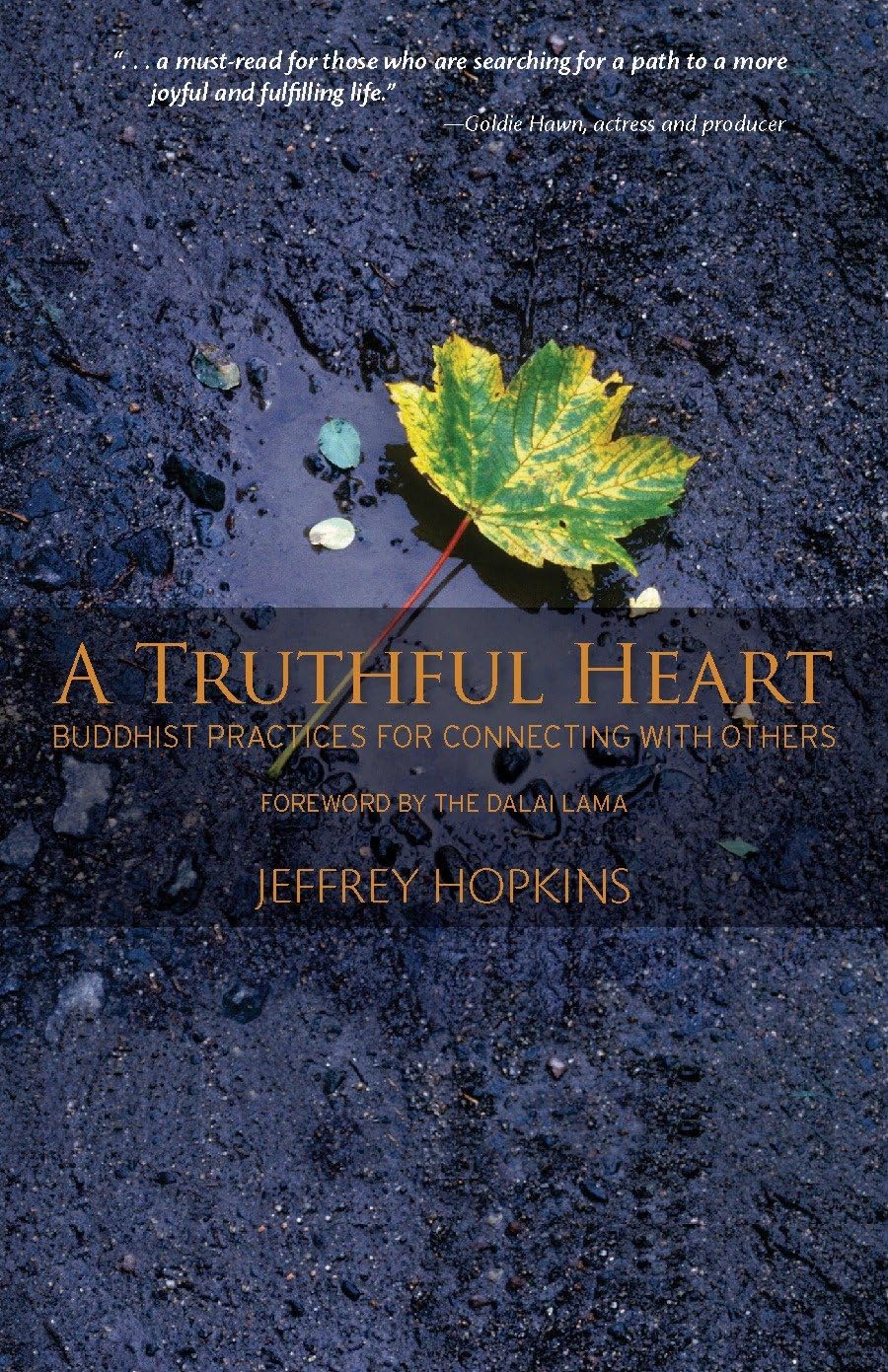 Algopix Similar Product 15 - A Truthful Heart Buddhist Practices