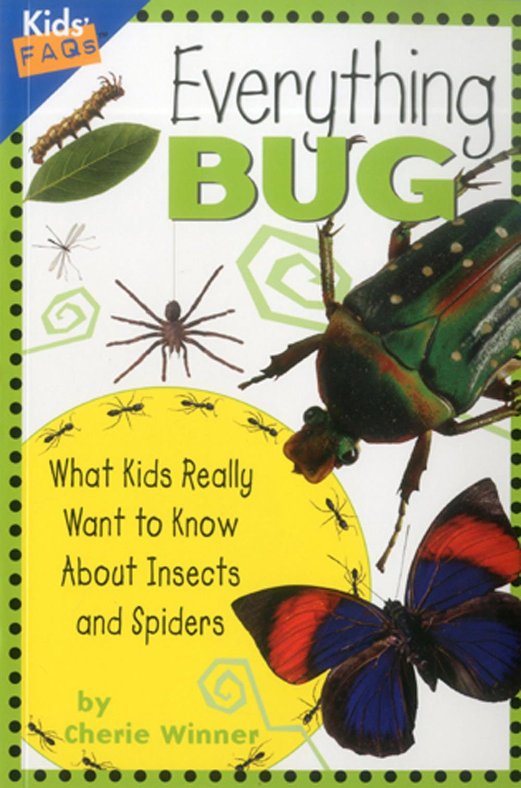 Algopix Similar Product 6 - Everything Bug What Kids Really Want