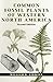 Algopix Similar Product 13 - Common Fossil Plants of Western North