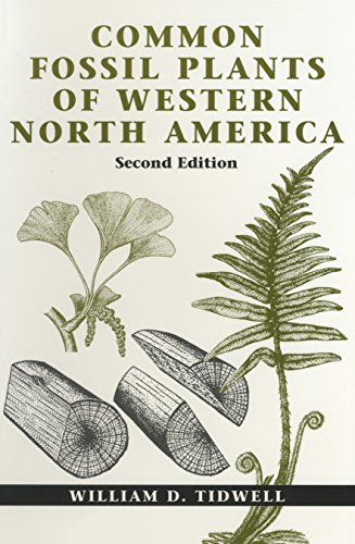 Algopix Similar Product 2 - Common Fossil Plants of Western North