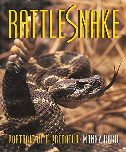 Algopix Similar Product 20 - Rattlesnake - Portrait of a Predator