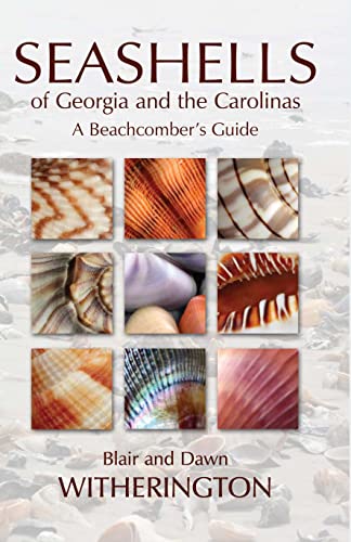 Algopix Similar Product 7 - Seashells of Georgia and the Carolinas