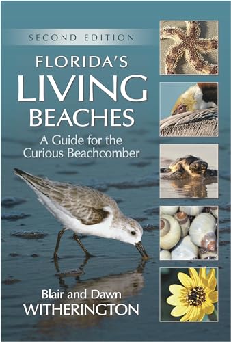 Algopix Similar Product 18 - Floridas Living Beaches A Guide for