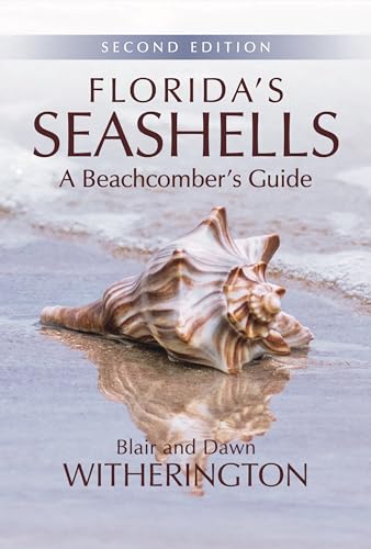 Algopix Similar Product 19 - Floridas Seashells A Beachcombers