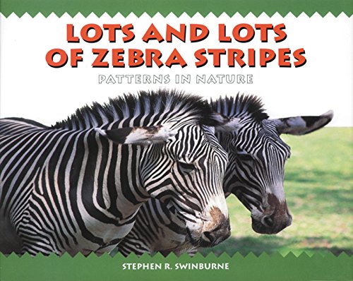 Algopix Similar Product 2 - Lots and Lots of Zebra Stripes