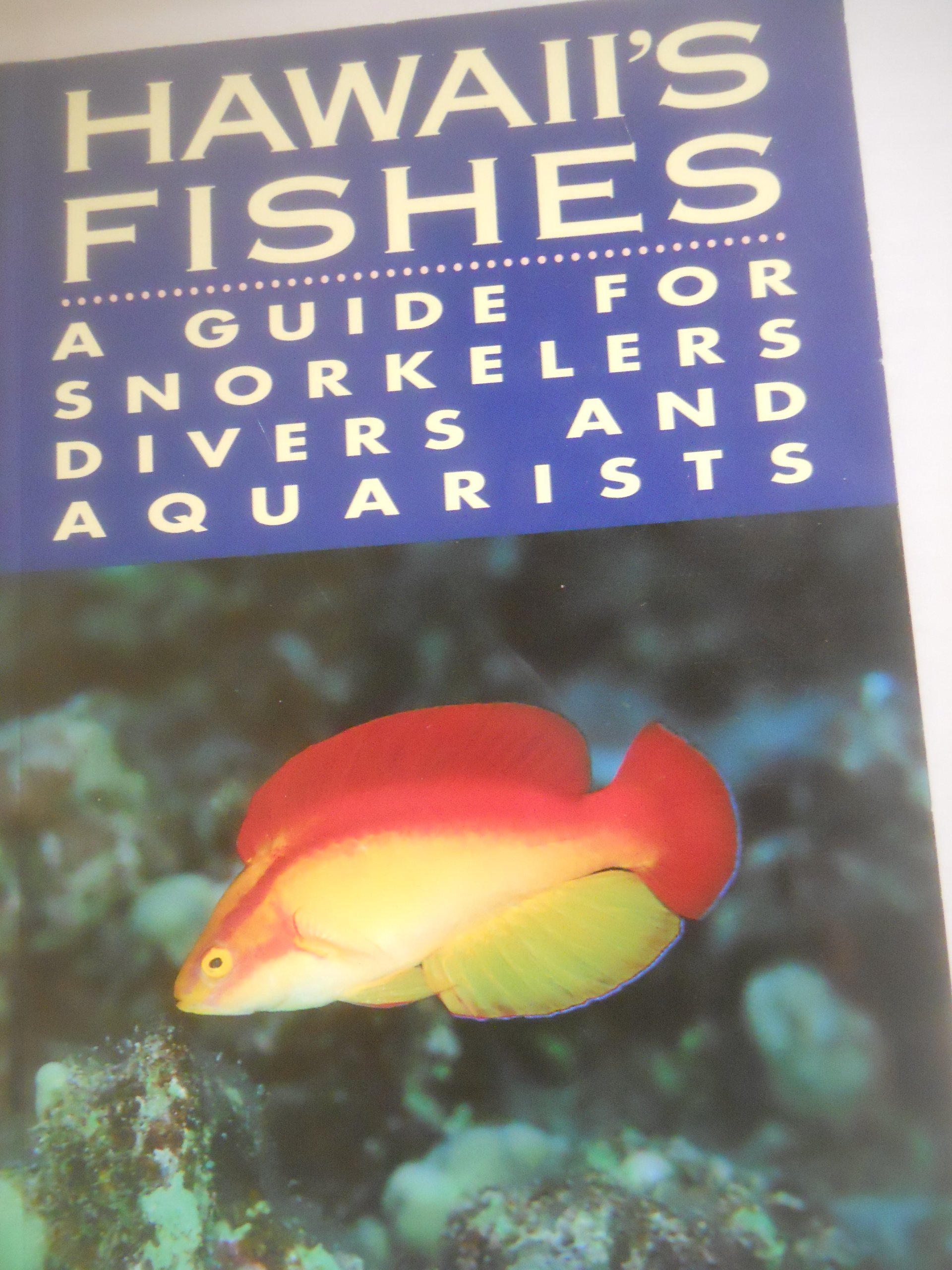 Algopix Similar Product 1 - Hawaiis Fishes A Guide for