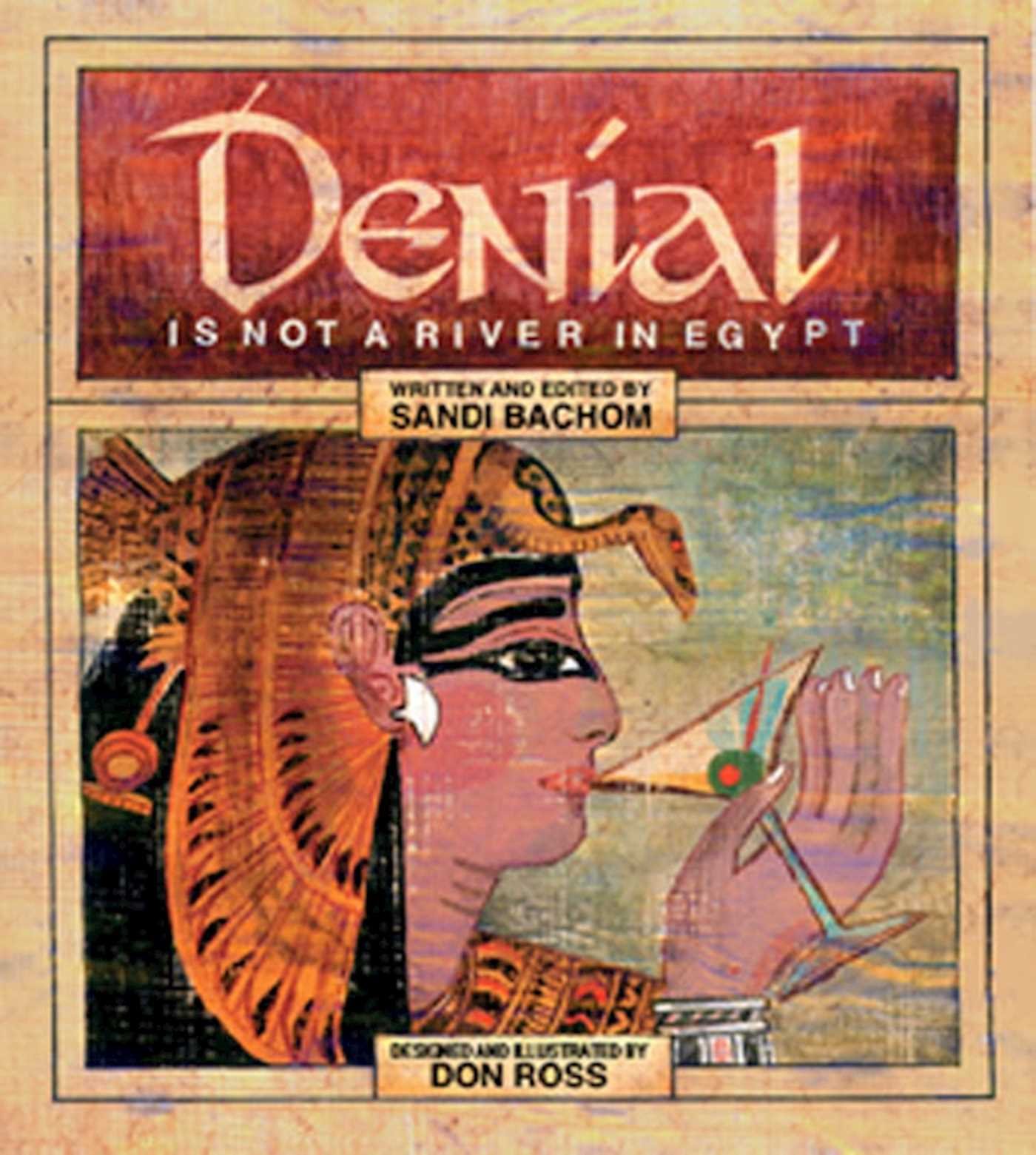 Algopix Similar Product 18 - Denial Is Not A River In Egypt