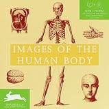 Algopix Similar Product 14 - Images of the Human Body