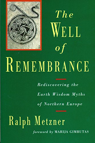 Algopix Similar Product 11 - Well of Remembrance Rediscovering the