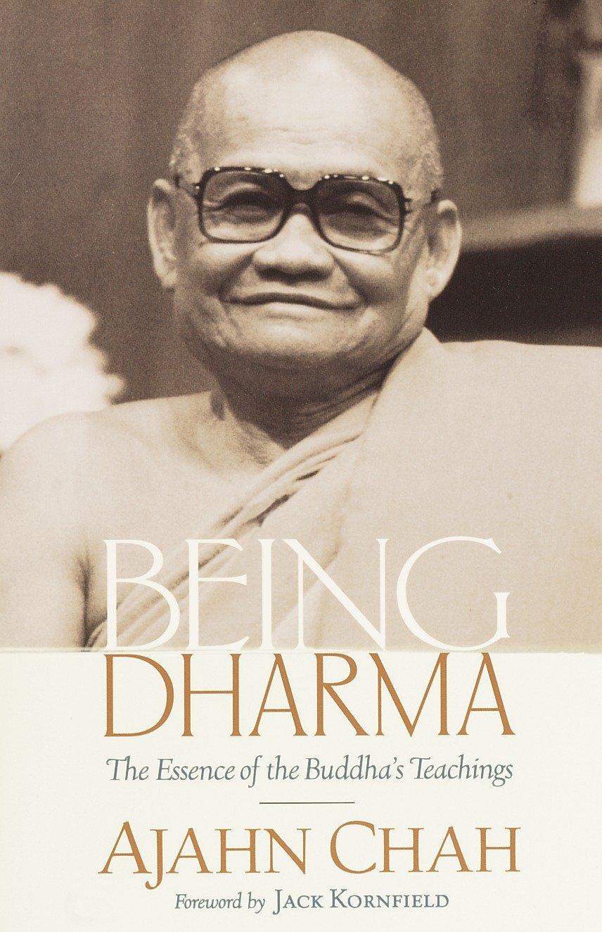 Algopix Similar Product 6 - Being Dharma The Essence of the