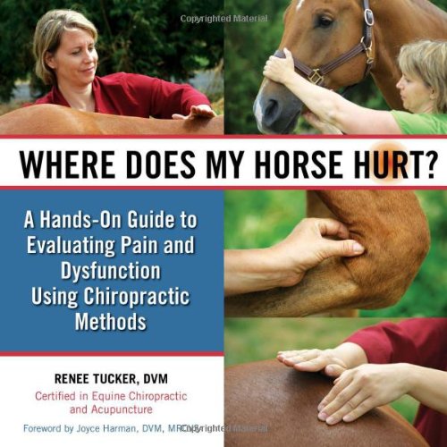 Algopix Similar Product 7 - Where Does My Horse Hurt A HandsOn