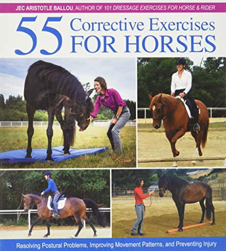 Algopix Similar Product 20 - 55 Corrective Exercises for Horses