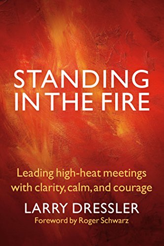 Algopix Similar Product 7 - Standing in the Fire Leading HighHeat