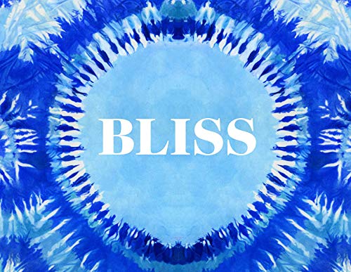 Algopix Similar Product 17 - Bliss Transformational Festivals  the