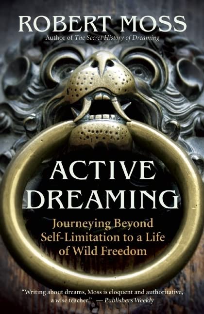 Algopix Similar Product 2 - Active Dreaming Journeying Beyond