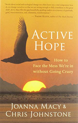 Algopix Similar Product 7 - Active Hope How to Face the Mess Were