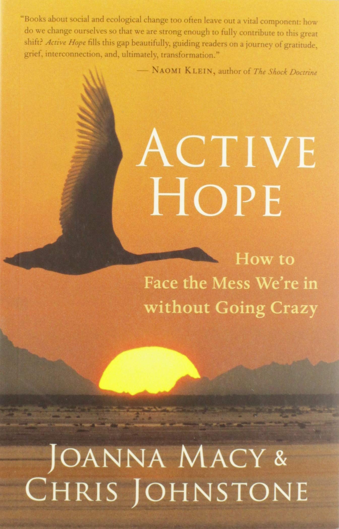Algopix Similar Product 20 - Active Hope How to Face the Mess Were