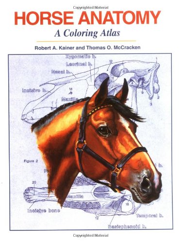 Algopix Similar Product 2 - Horse Anatomy A Coloring Atlas 2nd