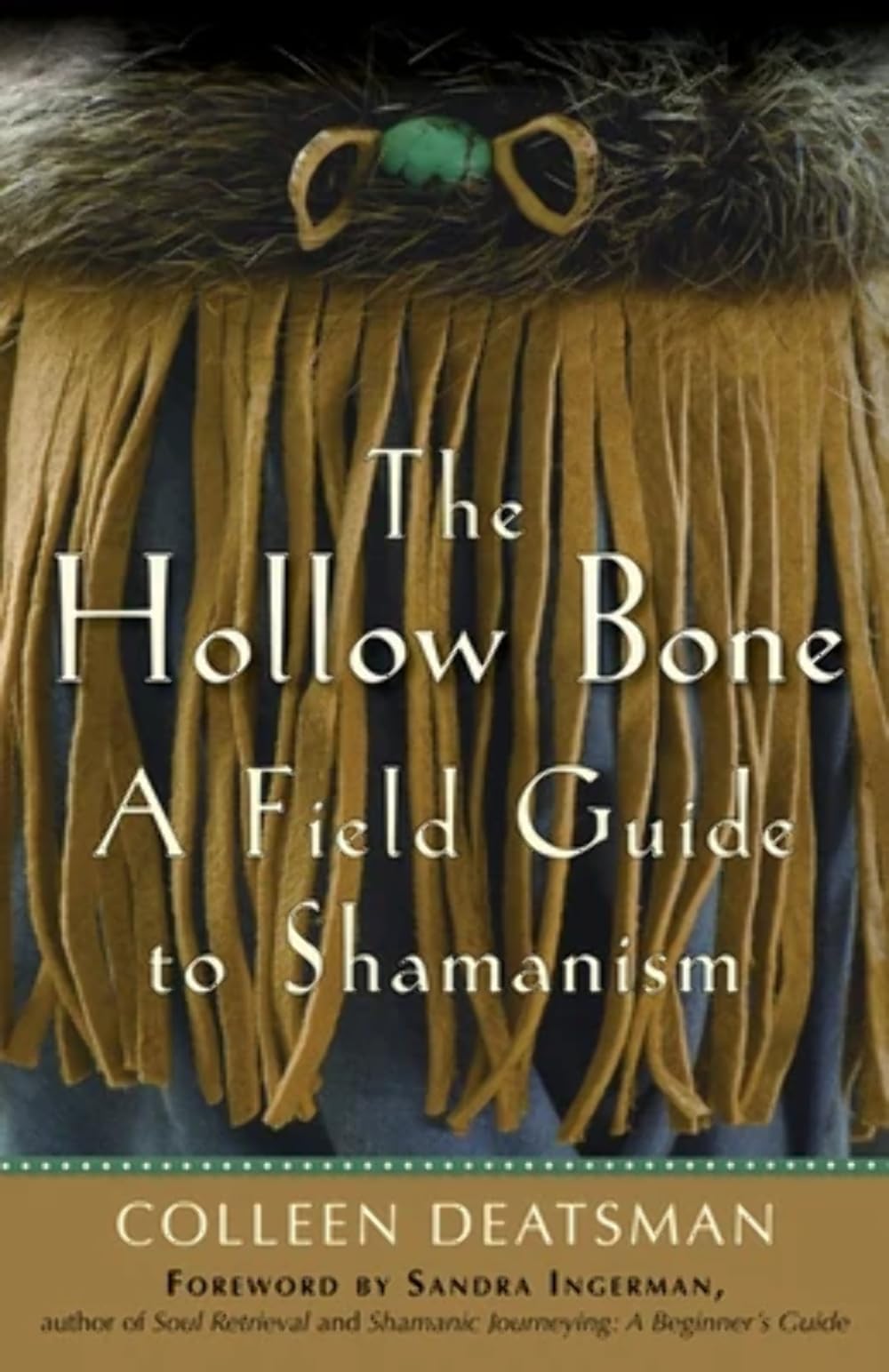 Algopix Similar Product 20 - The Hollow Bone A Field Guide to