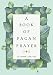 Algopix Similar Product 19 - A Book of Pagan Prayer